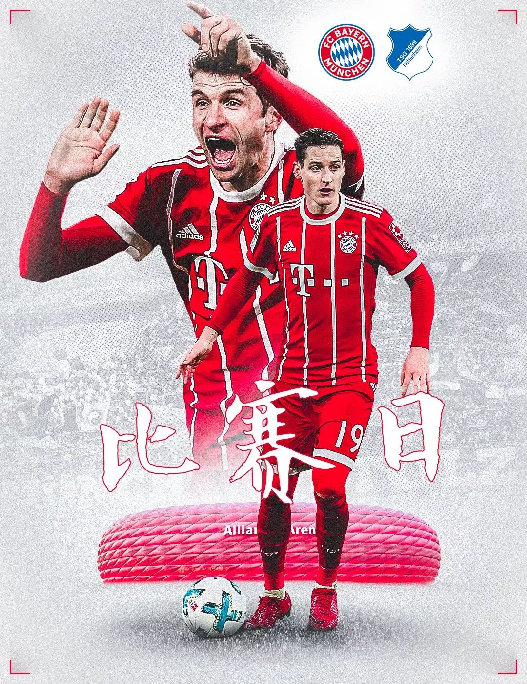 光他不仅