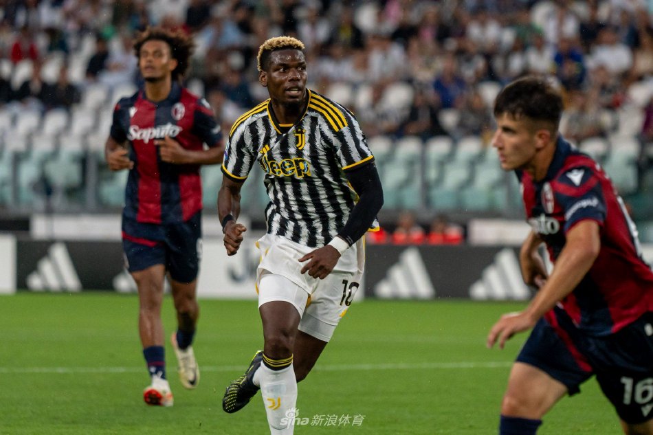 国内顶级篮 国内顶级篮